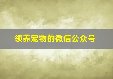 领养宠物的微信公众号