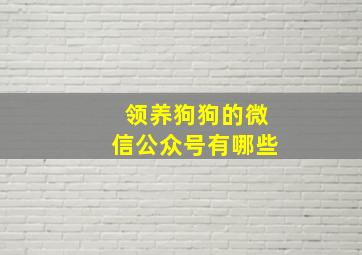 领养狗狗的微信公众号有哪些