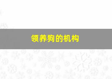 领养狗的机构