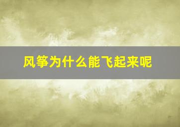 风筝为什么能飞起来呢