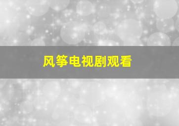 风筝电视剧观看