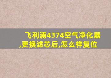 飞利浦4374空气净化器,更换滤芯后,怎么样复位