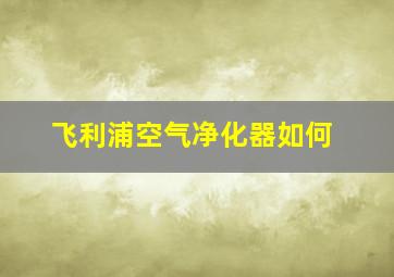 飞利浦空气净化器如何