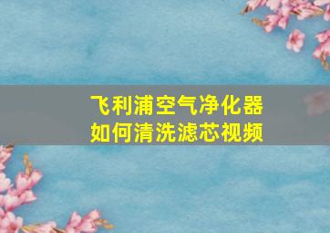 飞利浦空气净化器如何清洗滤芯视频