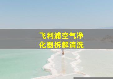 飞利浦空气净化器拆解清洗