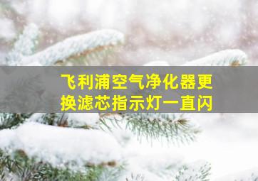 飞利浦空气净化器更换滤芯指示灯一直闪