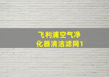 飞利浦空气净化器清洁滤网1