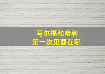 马尔福和哈利第一次见面在哪