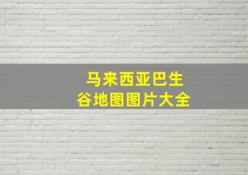 马来西亚巴生谷地图图片大全