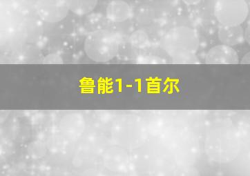 鲁能1-1首尔