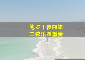 鲍罗丁夜曲第二弦乐四重奏