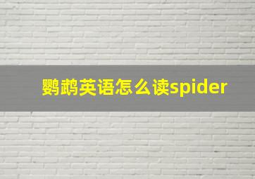 鹦鹉英语怎么读spider