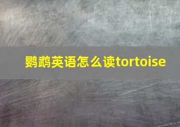 鹦鹉英语怎么读tortoise