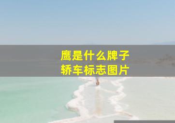 鹰是什么牌子轿车标志图片