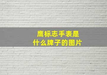 鹰标志手表是什么牌子的图片