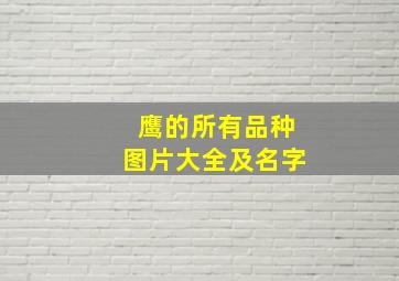 鹰的所有品种图片大全及名字