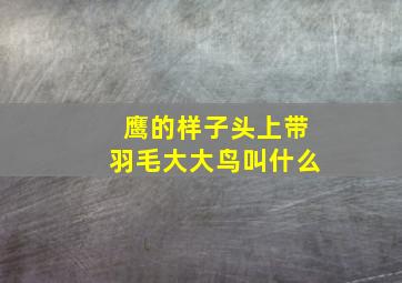 鹰的样子头上带羽毛大大鸟叫什么