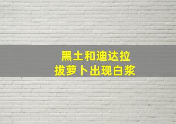 黑土和迪达拉拔萝卜出现白浆