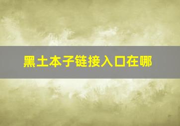 黑土本子链接入口在哪