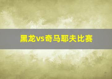 黑龙vs奇马耶夫比赛