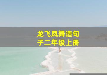 龙飞凤舞造句子二年级上册